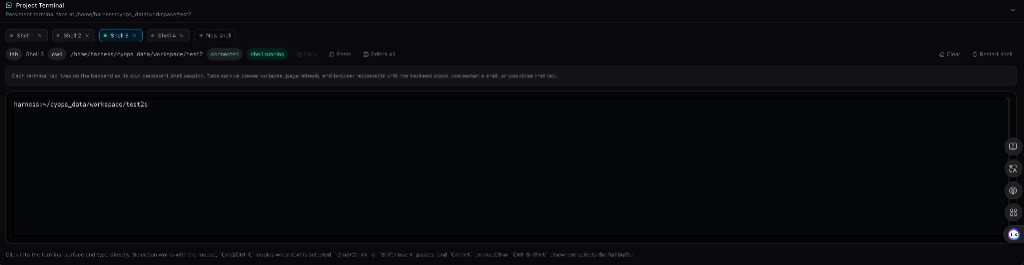 Use the Project Terminal in CyOps